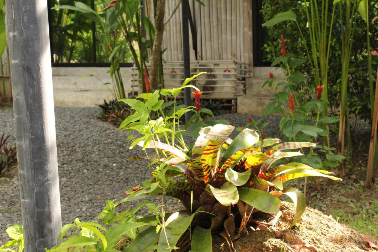 B Happy Resort - Sha Extraplus Kamala Beach Exterior photo